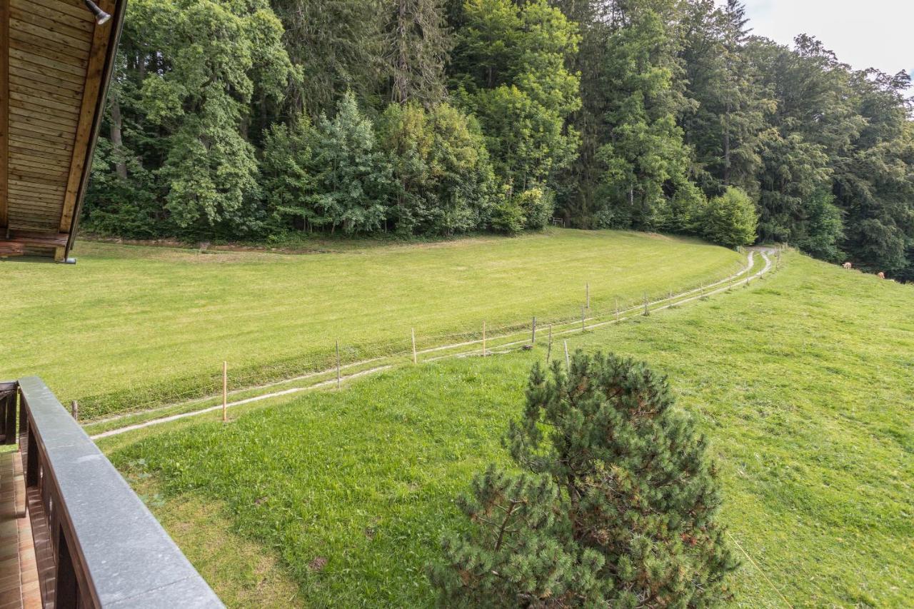 Ferienwohnung Oberrisstraum Шлирзе Экстерьер фото